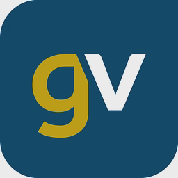 Gold‑Vision CRM logo