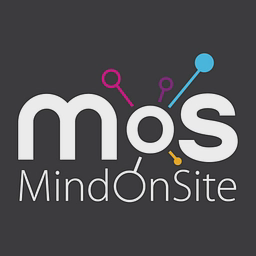 MINDONSite logo